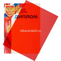 Обложка для переплета 10 листов А4 200мкм пластик красный от магазина "Карандаш"