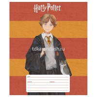 Тетрадь А5 12л линия "Гарри Поттер" на скобе 5 дизайнов 12Т5В2/082309 от магазина "Карандаш"