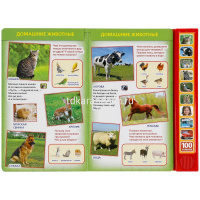 Книга "100 голосов окружающего мира" (10 кнопок, 100 звуков) 10стр. 9785506038412 от магазина "Карандаш"