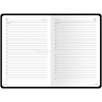 Набор подарочный "Sidney Nebraska" (ежедневник А5 272стр. серебро + ручка шариковая) 3-128/10-2 от магазина "Карандаш"