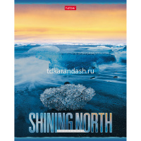 Тетрадь А5 48л клетка "Сияющий север" на скобе, фольгирование, 5 дизайнов 48Т5фВ1/062712 от магазина "Карандаш"