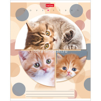 Тетрадь А5 24л клетка "Веселый горошек" на скобе 24Т5В1/046943 от магазина "Карандаш"