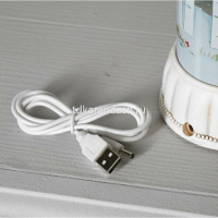 Сувенир "Бутылка" 38см (USB, свет, музыка) WDL-19104B от магазина "Карандаш"