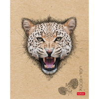 Тетрадь А5 96л клетка "Взгляд" на скобе крафт 5 дизайнов 96Т5В1/064479 от магазина "Карандаш"