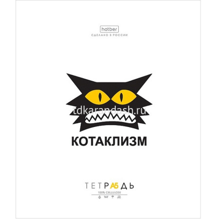 Тетрадь А5 48л клетка "Муркомания" на скобе 5 дизайнов 48Т5В1/090575