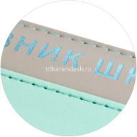 Дневник для 1-11 классов "Плонже мятный" твердая обложка, искусственная кожа с поролоном 68760 от магазина "Карандаш"