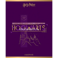 Тетрадь А5 48л клетка "Гарри Поттер" на скобе 3D фольга матовая ламинация 5 дизайнов 068667 от магазина "Карандаш"