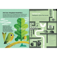 Книга "Солнечный свет на завтрак" 128стр. 978-5-17-126582-3 от магазина "Карандаш"