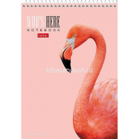 Блокнот А5 60л "Фламинго" клетка, на спирали, жесткая подложка УФ-лак 2 дизайна 60Б5В1сп/066421 от магазина "Карандаш"