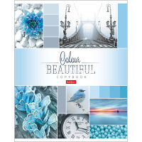 Тетрадь А5 96л клетка "Beautiful colour" на скобе 5 дизайнов 96Т5В1/046858 от магазина "Карандаш"