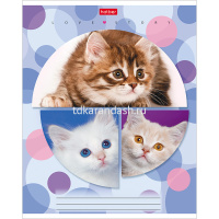 Тетрадь А5 24л клетка "Веселый горошек" на скобе 24Т5В1/046943 от магазина "Карандаш"