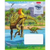 Тетрадь А5 12л клетка "Эра динозавров" на скобе 5 дизайнов 12Т5В1/057221 от магазина "Карандаш"