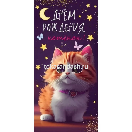 Конверт для денег "С Днем рождения, котенок!" 168х84мм 1804219