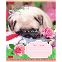 Тетрадь А5 12л клетка "Сони-Засони" на скобе 5 дизайнов 12Т5В1/046653 от магазина "Карандаш"