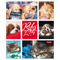 Тетрадь А5 24л клетка "Relax Life" на скобе 24Т5В1/046960 от магазина "Карандаш"