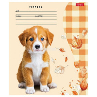 Тетрадь А5 24л линия "Милые носики" на скобе 5 дизайнов 24Т5В2/091484 от магазина "Карандаш"