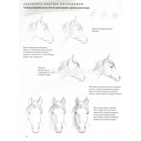 Книга-скетчбук начинающего художника "Создаем наброски лошадей шаг за шагом" 64стр. 978-5-00241-199- от магазина "Карандаш"