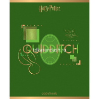 Тетрадь А5 48л клетка "Гарри Поттер" на скобе 3D фольга матовая ламинация 5 дизайнов 068667 от магазина "Карандаш"